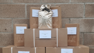 Staff Appreciation 2023