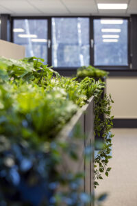 Tips for Incorporating Sustainable Materials in the Workspace